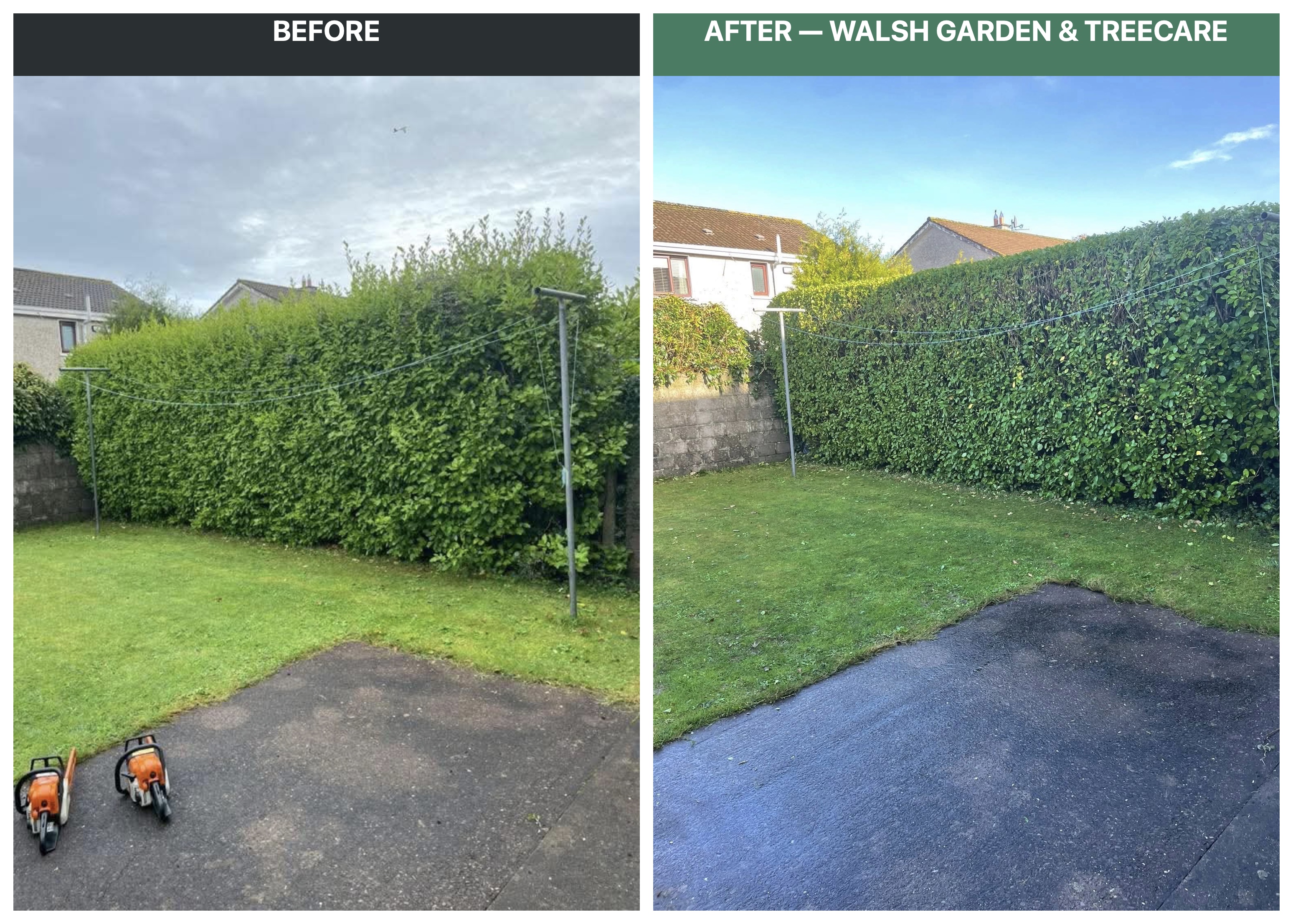 Before and after hedge cutting and site cleanup near washing line