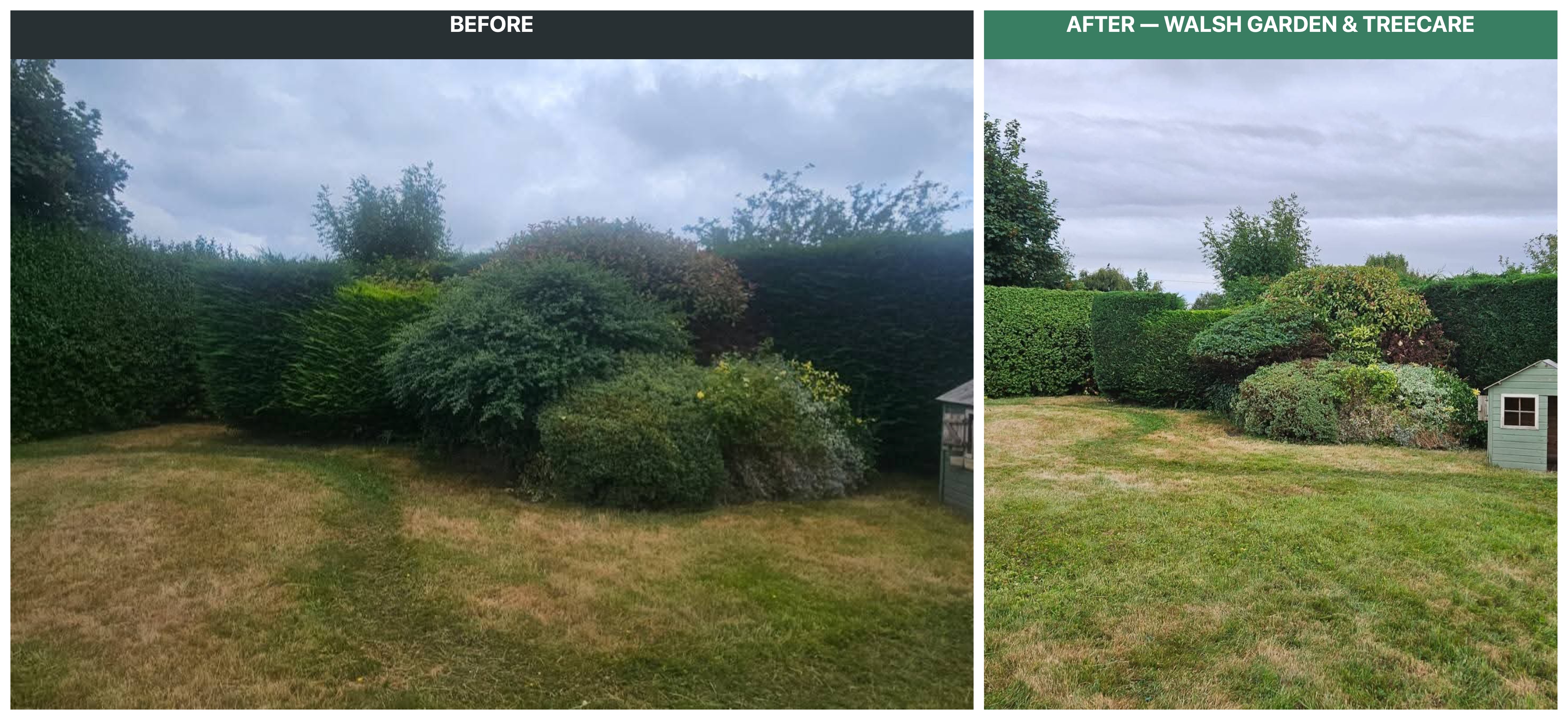 Before and after shrub pruning and garden corner shaping