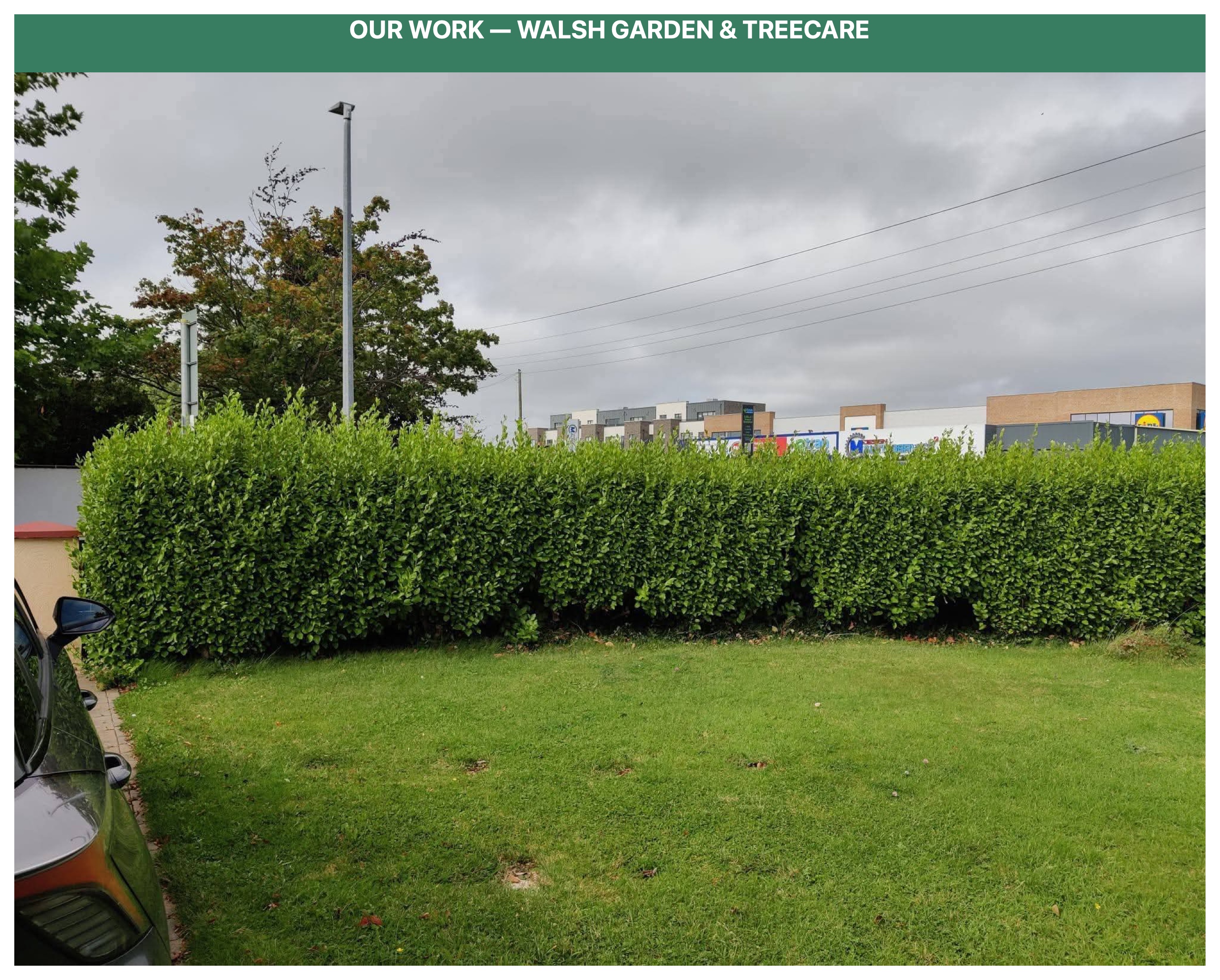 Precision trimmed boundary hedge bordering lawn