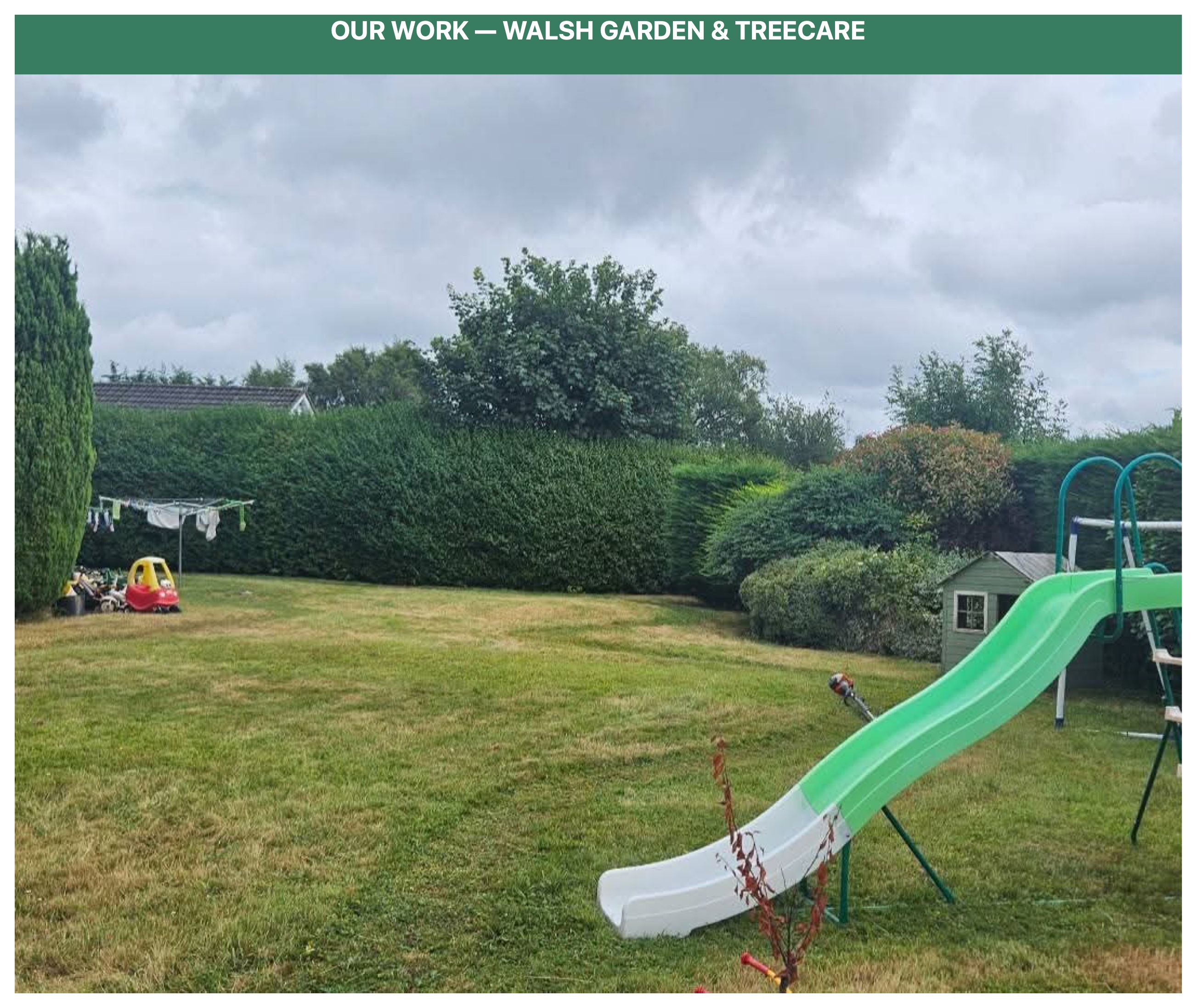 Lawn Care & Maintenance