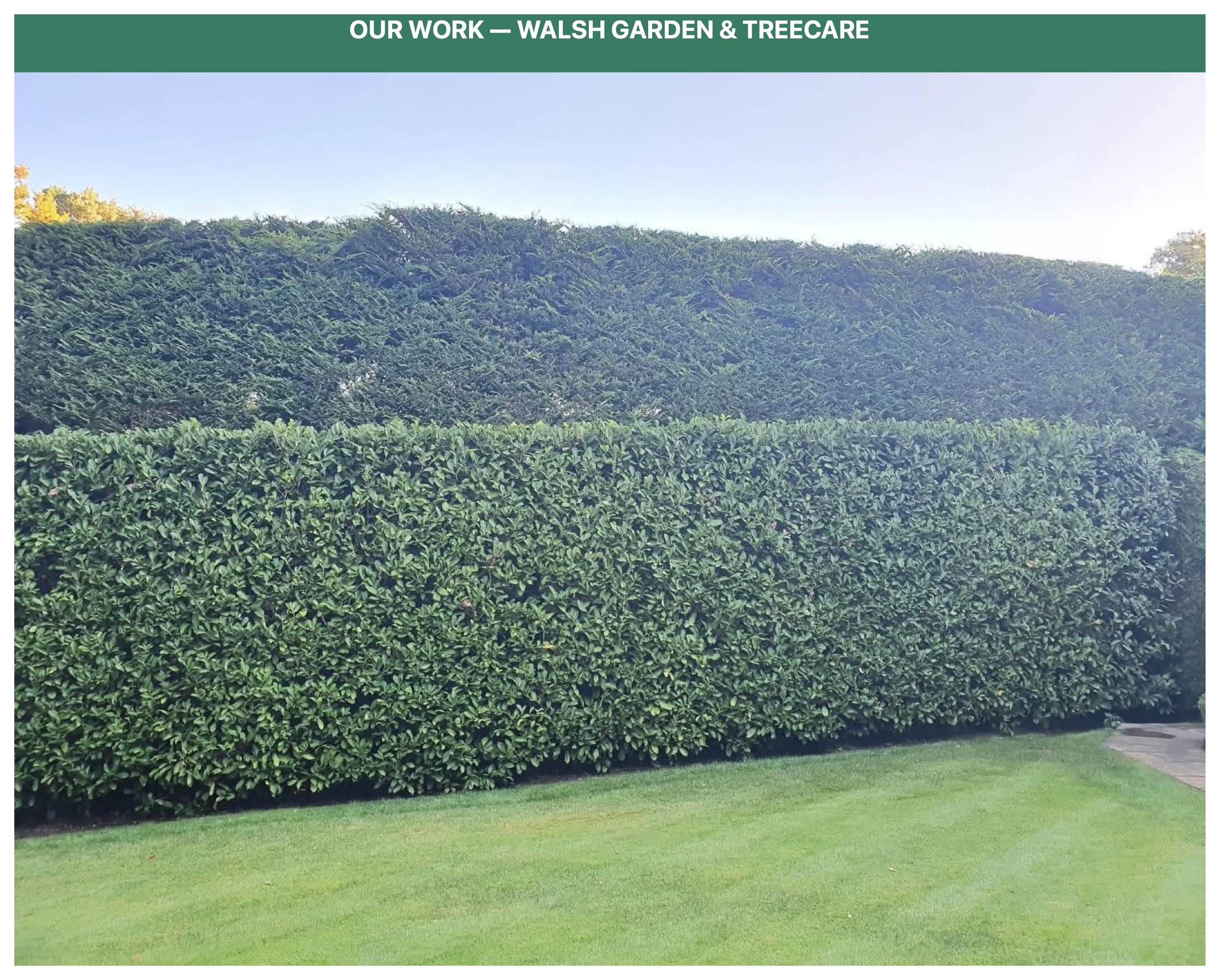 Two tier formal hedge cutting and pristine lawn presentation