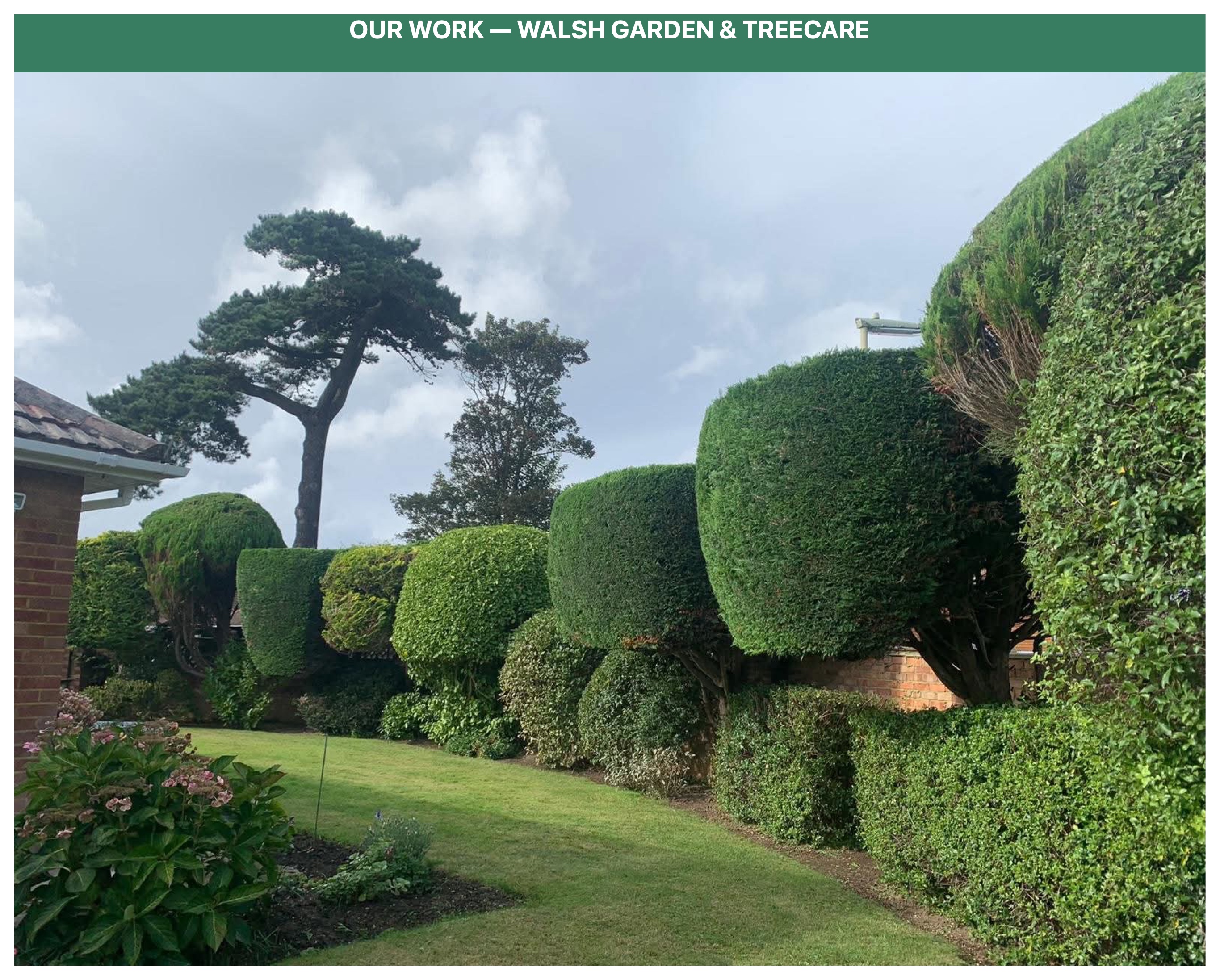 Artistic topiary shaping and garden boundary detailing