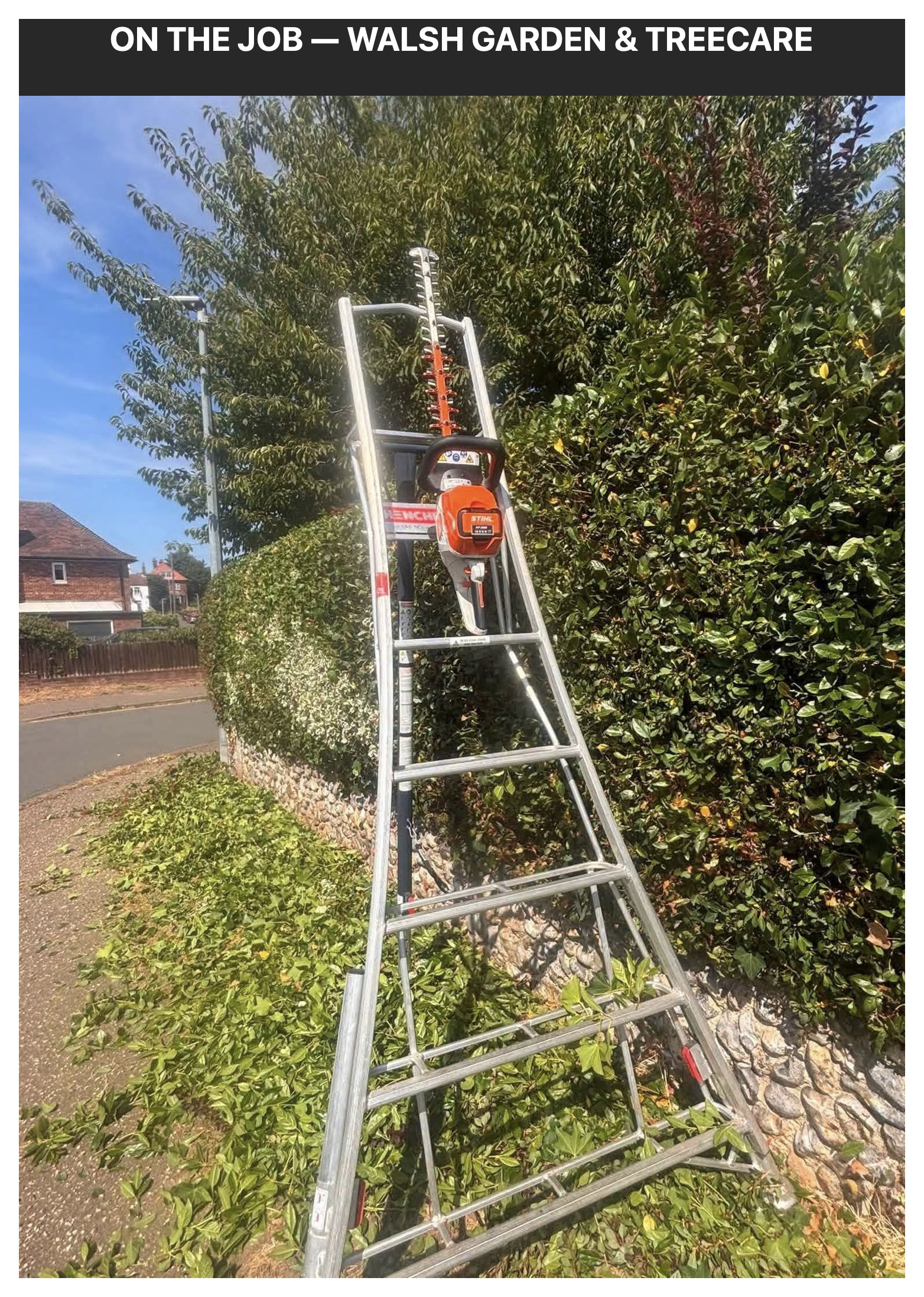 Commercial STIHL trimmers and ladders