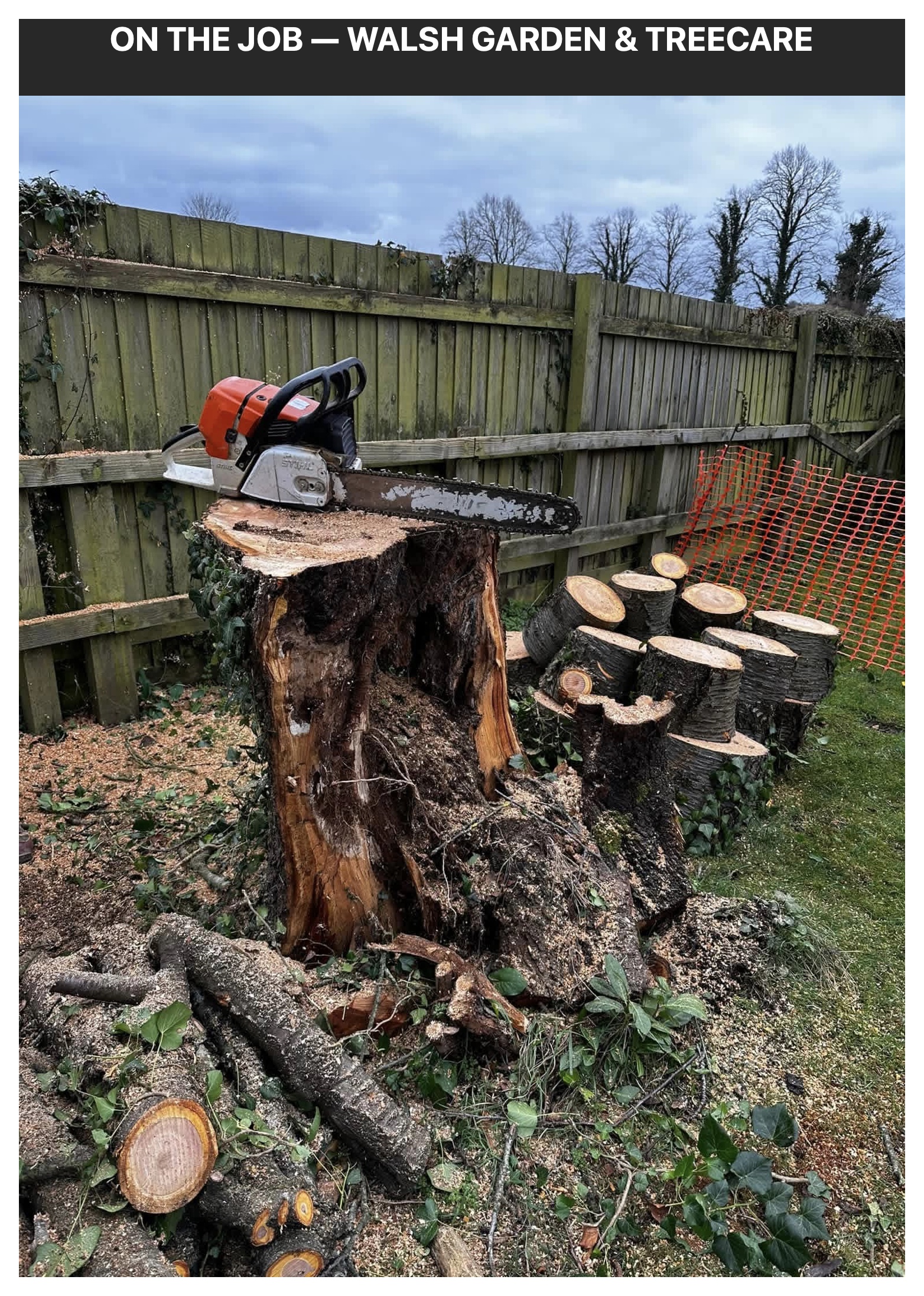 Stump Grinding & Removal